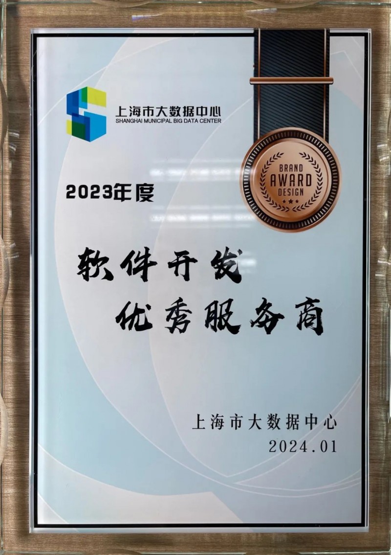 上海软件开发：助力企业数字化转型的新引擎